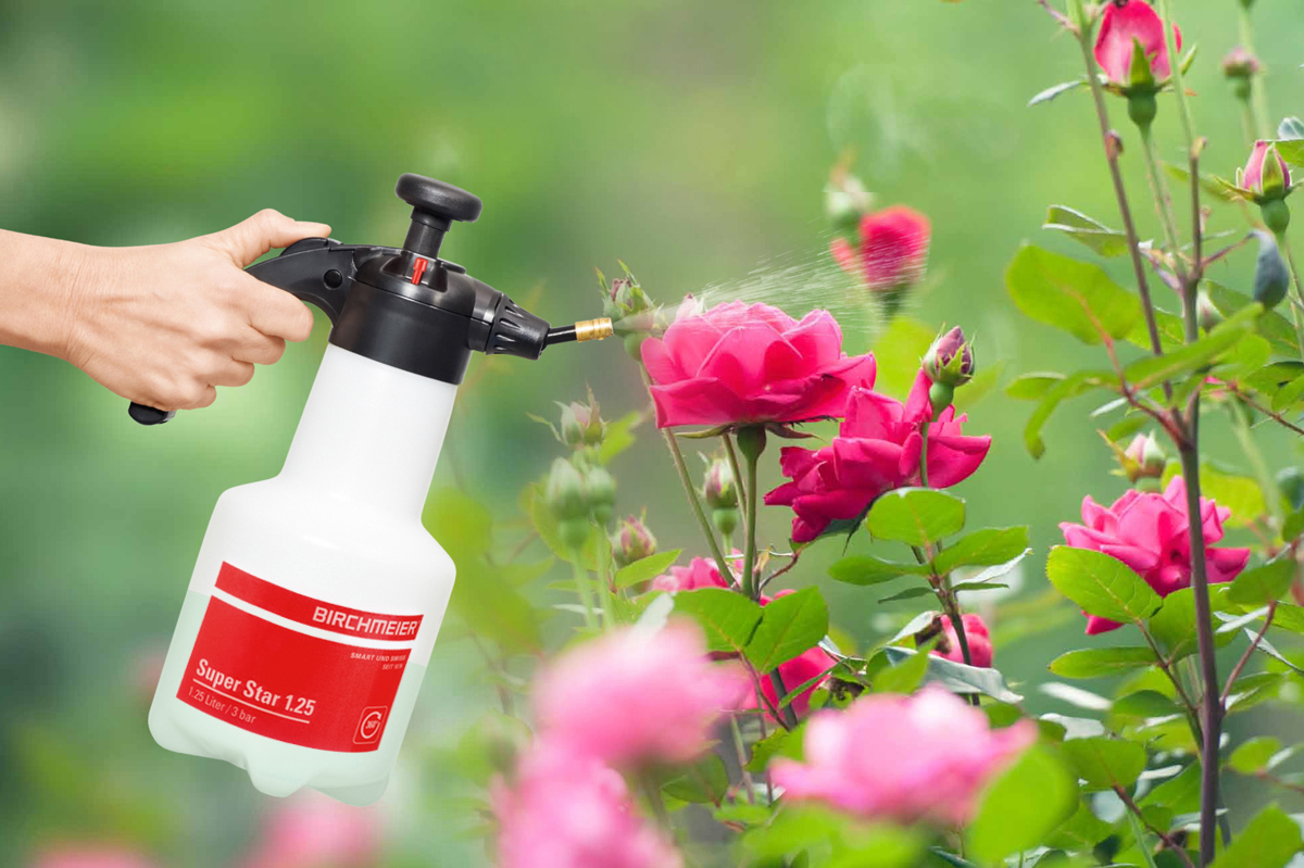 Birchmeier Super star Hand sprayer - Hortispares