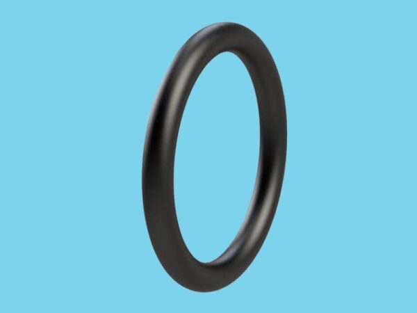 Ripa o-ring             t44-09 - 812008642