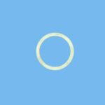 Ripa gun backup ring  6 - 818052066