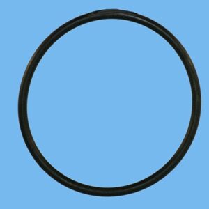 Ripa o-ring             t44-48 - 812008979