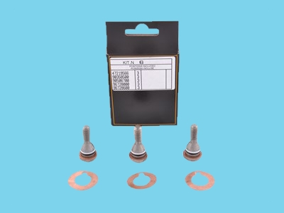 Kit 6 Piston Bolt WS - 834200048