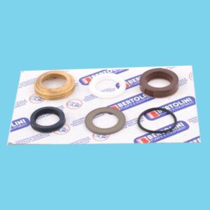 Kit 20 Plunger seal - 834200069