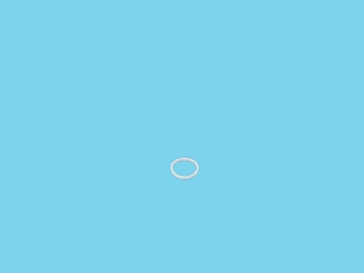 Support Ring - 840003002