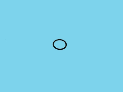 Gasket 3/4" - 840003007
