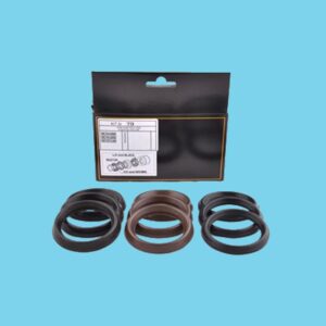 Ripa kit 79          kit79 t77 - 812008561