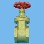 Hand wheel valve brass      2" - 018300502